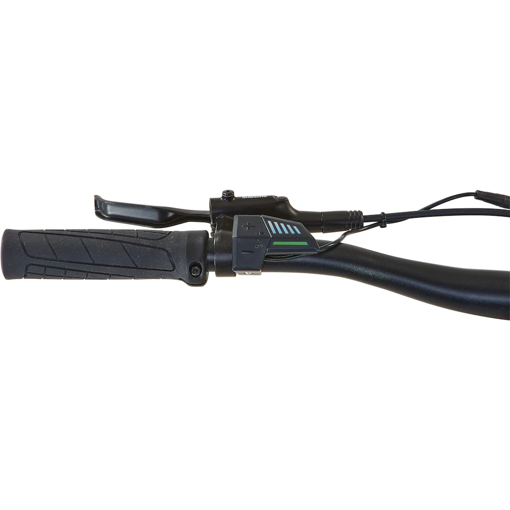 Prophete E-Bike »Dice 1.0« 8 Gang Shimano Altus Heckmotor 250 W Günstig kaufen
