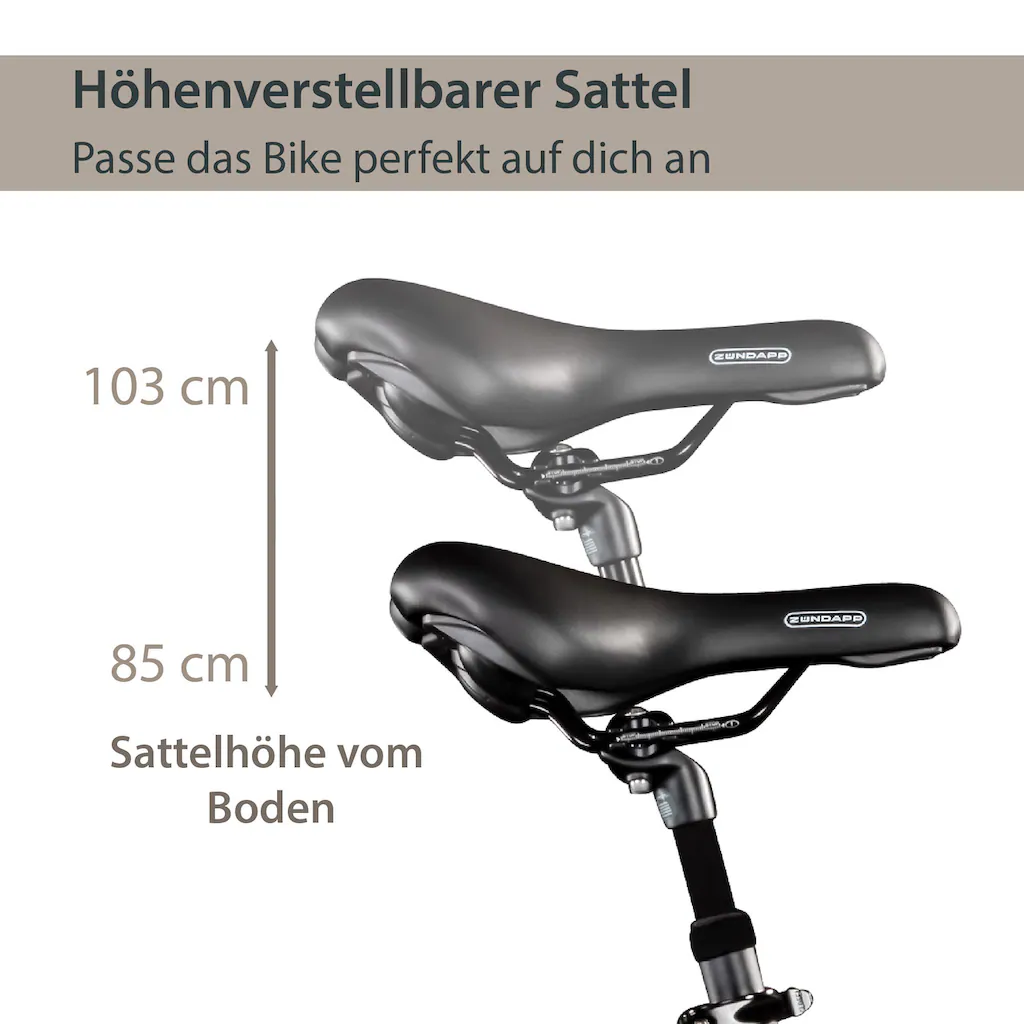AGON E-Bike »Aurora« 3 Gang Frontmotor 250 W Pedelec Elektrofahrrad für Damen u. Herren Cityrad Versandkostenfrei