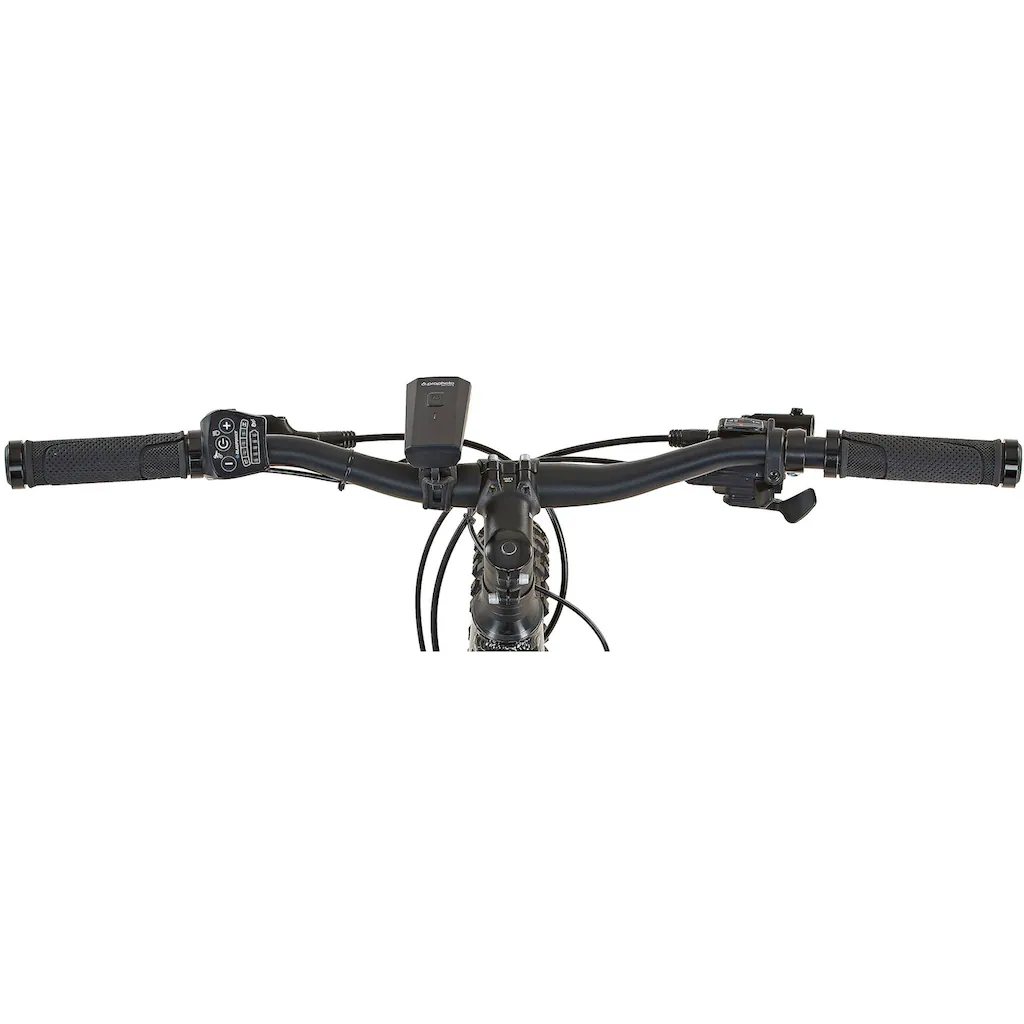 Prophete E-Bike »Graveler eM100« 8 Gang Shimano Altus Heckmotor 250 W Saisonschlussverkauf