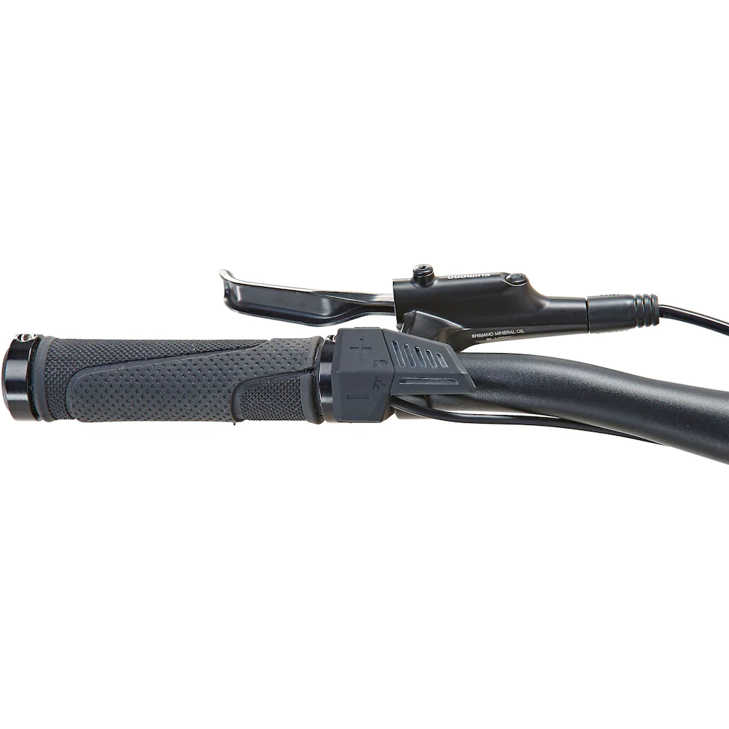 Prophete E-Bike »DICE 1.0« 8 Gang Shimano Altus Heckmotor 250 W Pedelec Elektrofahrrad für Damen u. Herren MTB Mountainbike auf Rechnung online kaufen Top Angebot