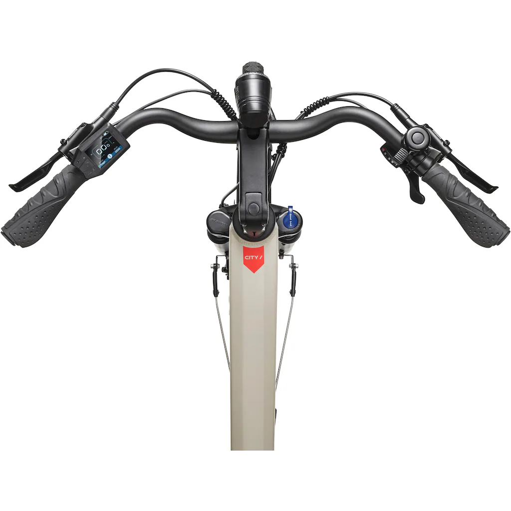 Telefunken E-Bike »Multitalent RC680« 10 Gang Shimano Mittelmotor 250 W (28 Zoll Straßenzulassung Scheibenbremsen) Pedelec Elektrofahrrad für Damen u. Herren Cityrad Neueste Mode