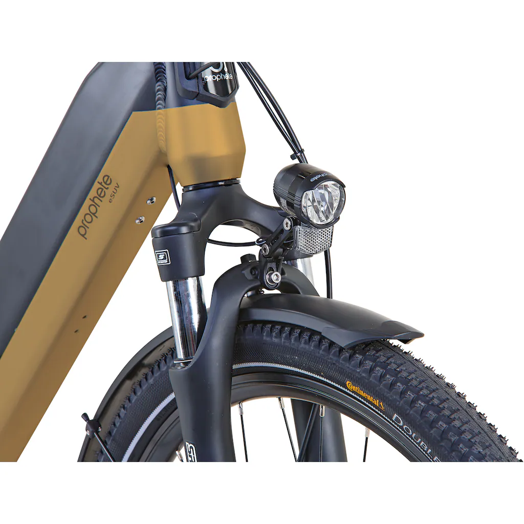 Prophete E-Bike »Entdecker InsideTwo« 10 Gang Shimano Deore Mittelmotor 250 W Pedelec Elektrofahrrad für Damen u. Herren Trekkingrad auf Raten Exklusivangebot