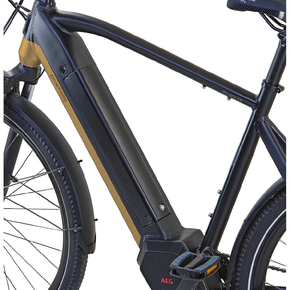 Prophete E-Bike »Entdecker InsideTwo« 10 Gang Shimano Deore Mittelmotor 250 W Pedelec Elektrofahrrad für Damen u. Herren Trekkingrad auf Raten Exklusivangebot