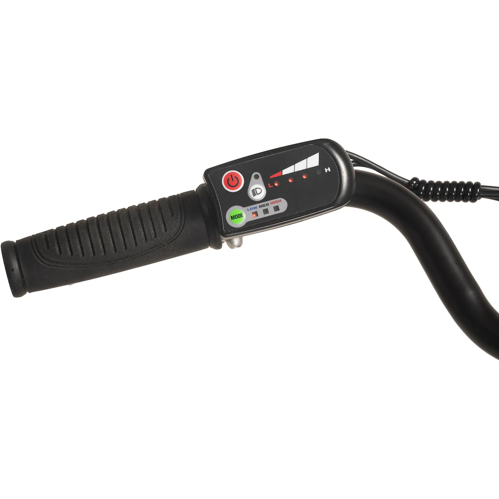 Hollandia E-Bike »Lido« 7 Gang Shimano Tourney Frontmotor 250 W VIP-Rabatte