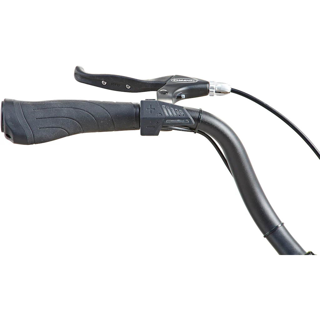 Prophete E-Bike »Geniesser 1.0« 3 Gang Shimano Nexus Frontmotor 250 W Pedelec Elektrofahrrad für Damen u. Herren Cityrad Discount Store für neue Produkte