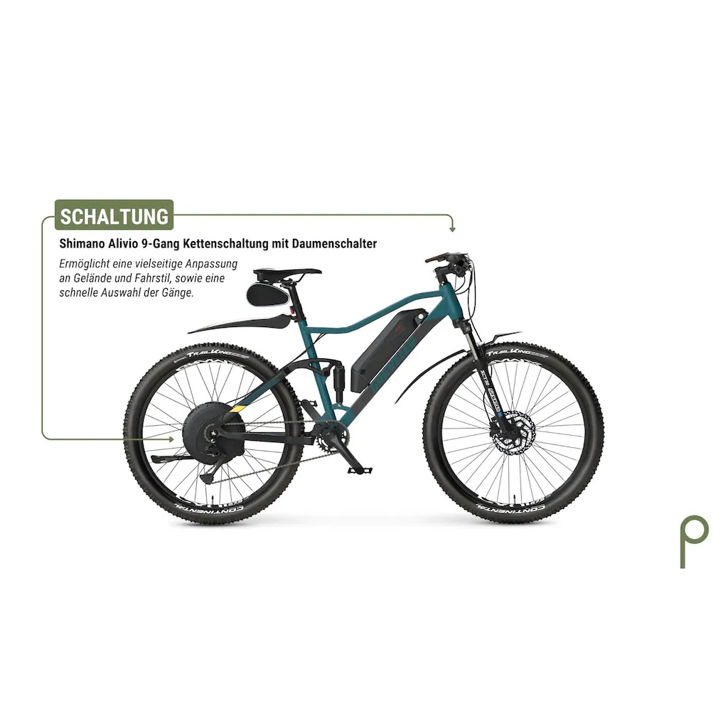 Prophete E-Bike »Graveler« 9 Gang Shimano Alivio Heckmotor 250 W Pedelec Elektrofahrrad für Damen u. Herren MTB Mountainbike Kostenloser Versand international