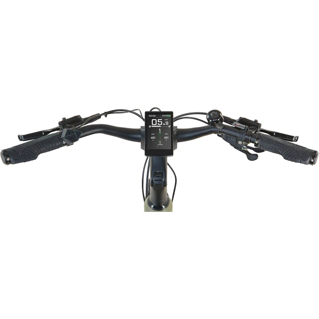 Prophete E-Bike »Entdecker 4.0« 10 Gang microSHIFT RD-M61S Mittelmotor 250 W Pedelec Elektrofahrrad für Damen Trekkingrad auf Rechnung kaufen 2025