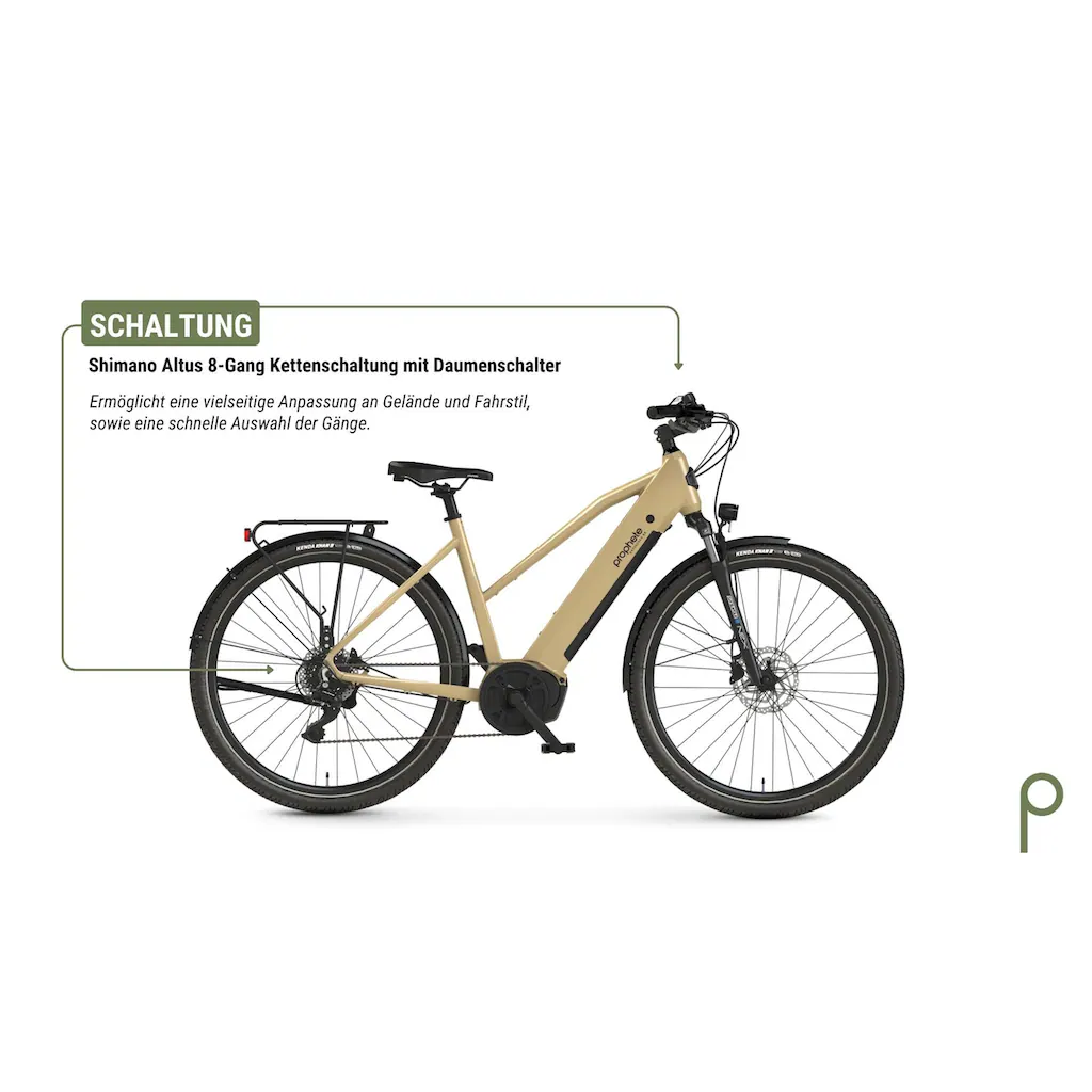 Prophete E-Bike »Entdecker 3.4« 8 Gang Shimano Mittelmotor 250 W Pedelec Elektrofahrrad für Damen Trekkingrad auf Rechnung bestellen Rabatt