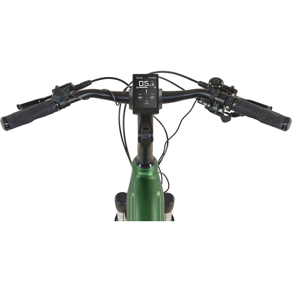 Prophete E-Bike »Entdecker 4.9« 10 Gang Shimano Cues Mittelmotor 250 W Pedelec Elektrofahrrad für Herren auf Rechnung bestellen Günstig kaufen