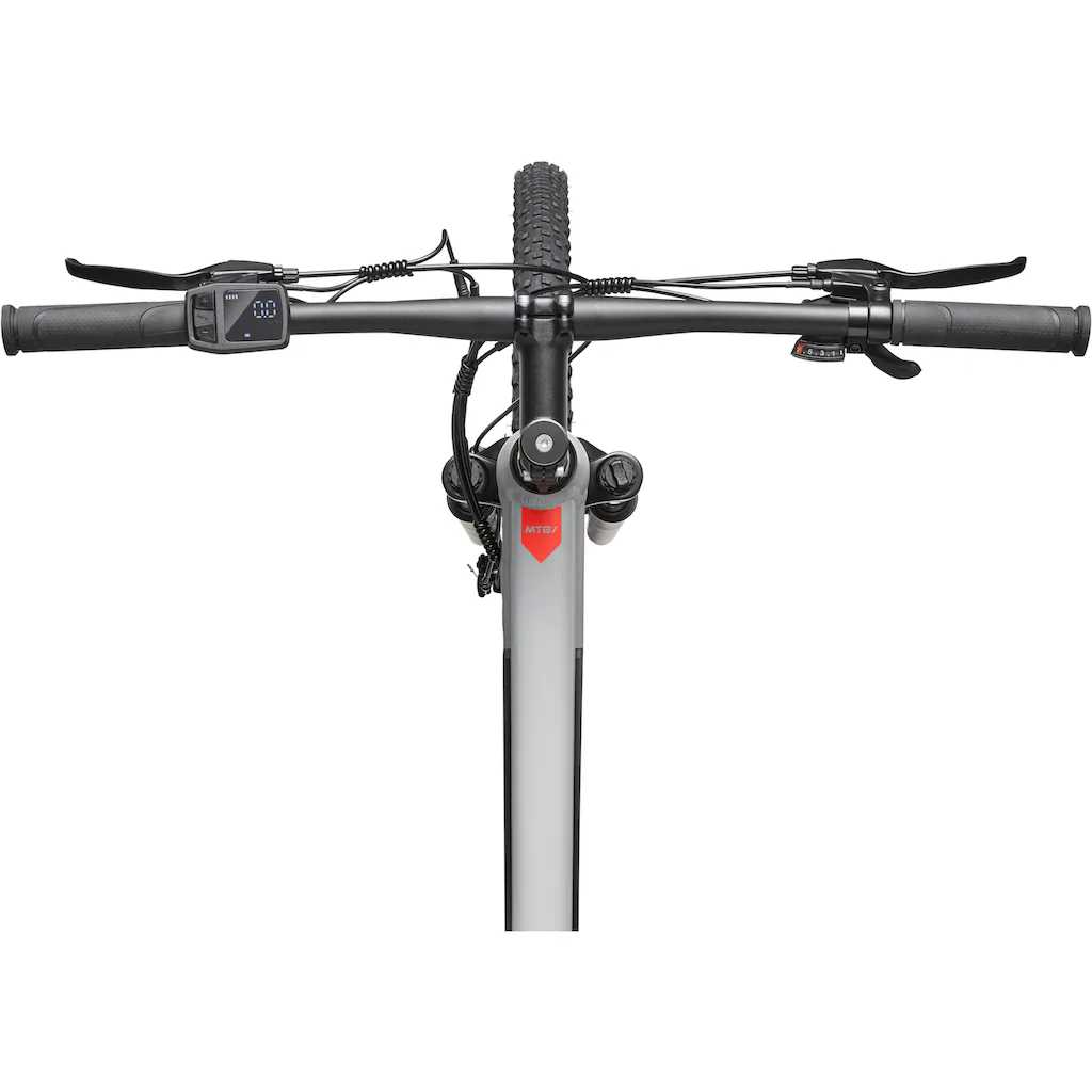 Telefunken E-Bike »Aufsteiger M921« 7 Gang Shimano Heckmotor 250 W (29 Zoll Scheibenbremsen) Pedelec Elektrofahrrad für Damen u. Herren MTB Mountainbike auf Raten Versandkostenfrei