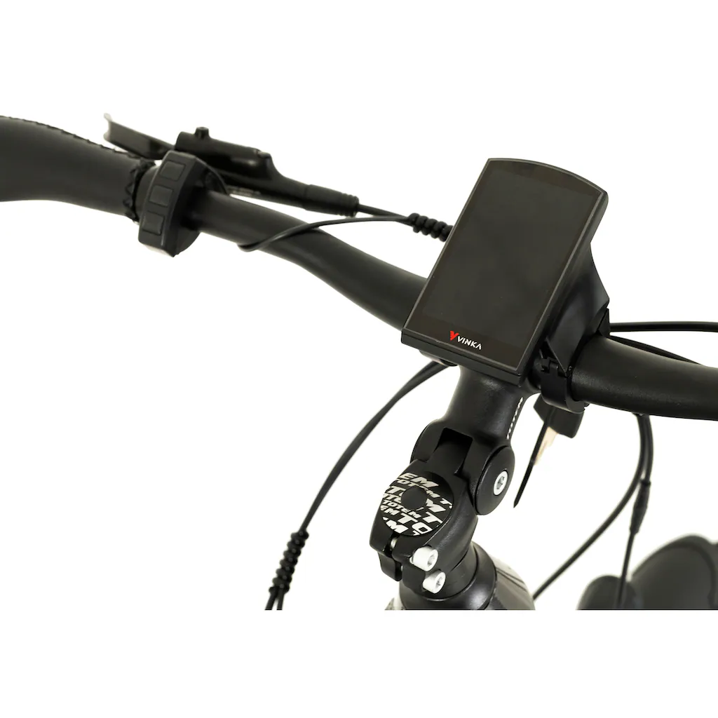 TOTEM E-Bike »DLT-40« 9 Gang Shimano Altus Mittelmotor 250 W Pedelec Elektrofahrrad für Herren auf Rechnung online kaufen Flash Sale