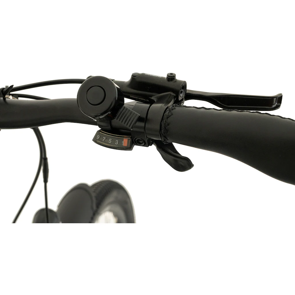 TOTEM E-Bike »DLT-40« 9 Gang Shimano Altus Mittelmotor 250 W Pedelec Elektrofahrrad für Herren auf Rechnung online kaufen Flash Sale
