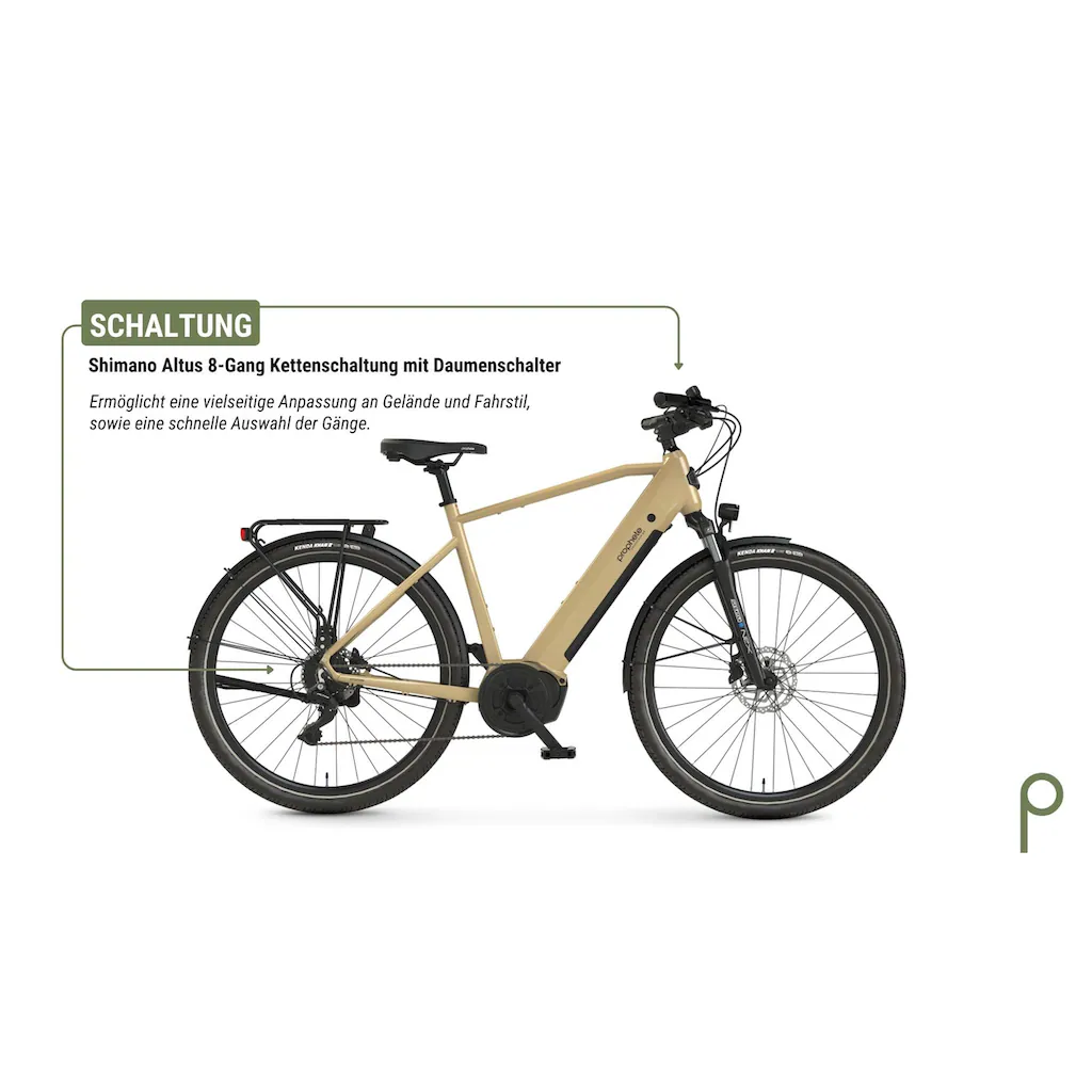Prophete E-Bike »Entdecker 3.4« 8 Gang Shimano Mittelmotor 250 W Pedelec Elektrofahrrad für Herren Trekkingrad auf Rechnung Online Shopping