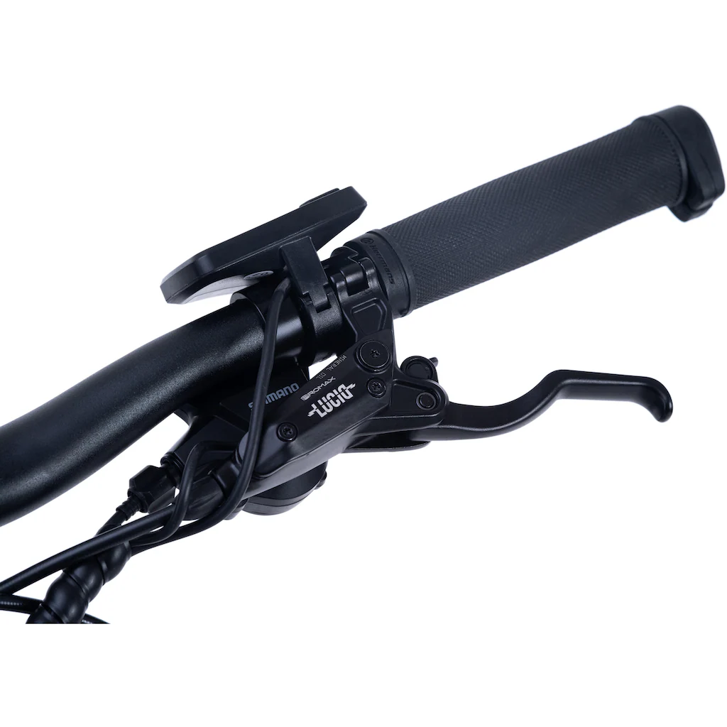 Adore E-Bike »Enforce« 24 Gang Shimano Acera Heckmotor 250 W Pedelec Elektrofahrrad für Damen u. Herren MTB Mountainbike auf Rechnung bestellen Osterangebot