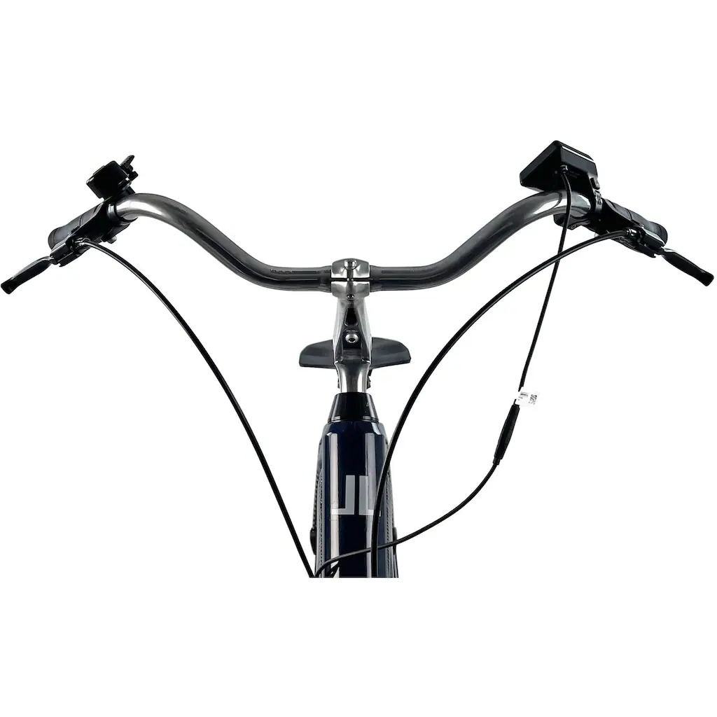 LLobe E-Bike »City E-Bike 28" Millenium 2G« Heckmotor 250 W auf Raten Valentinstagsangebot
