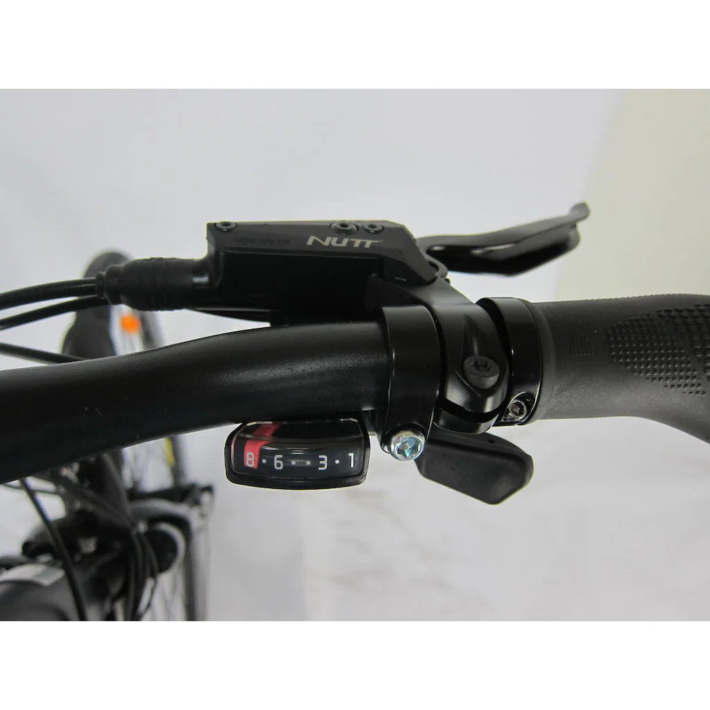 Maxtron E-Bike »MT 12« 8 Gang Shimano Altus Heckmotor 250 W Pedelec Elektrofahrrad für Damen u. Herren Trekkingrad auf Rechnung bestellen Letzte 2 Tage