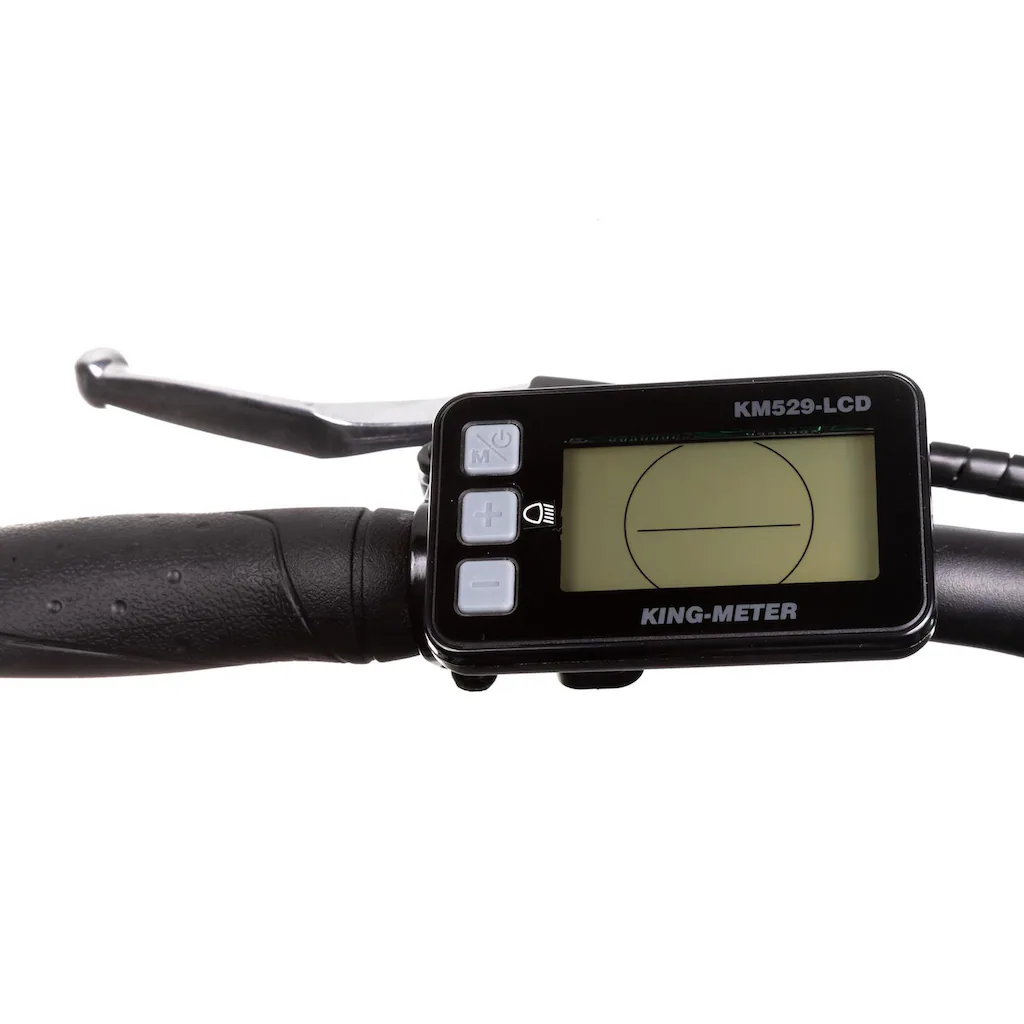 Maxtron E-Bike »MT 12« 8 Gang Shimano Altus Heckmotor 250 W Pedelec Elektrofahrrad für Damen u. Herren Trekkingrad auf Rechnung bestellen Letzte 2 Tage
