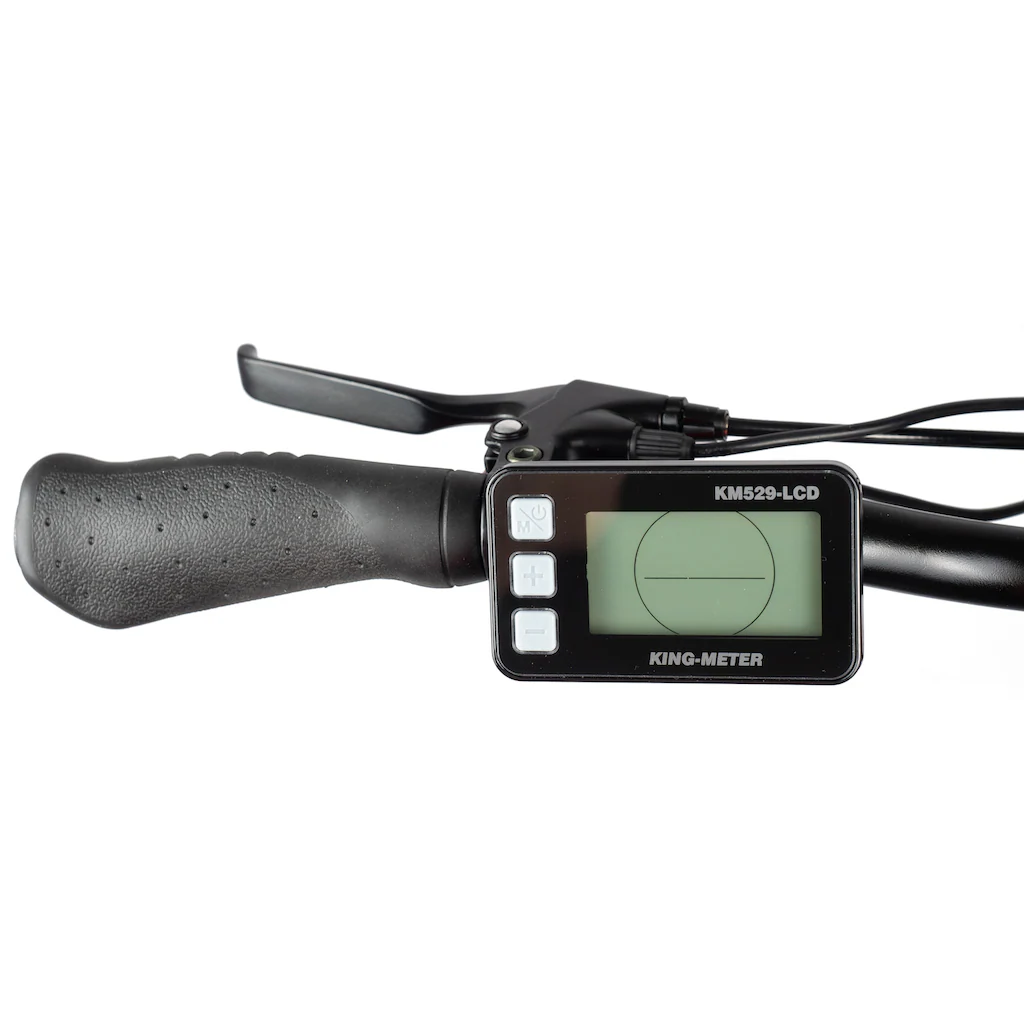ALLEGRO E-Bike »Andi 3 Plus 374« 3 Gang Shimano Nexus Frontmotor 250 W Pedelec Elektrofahrrad für Damen u. Herren Faltrad Letzter Tag