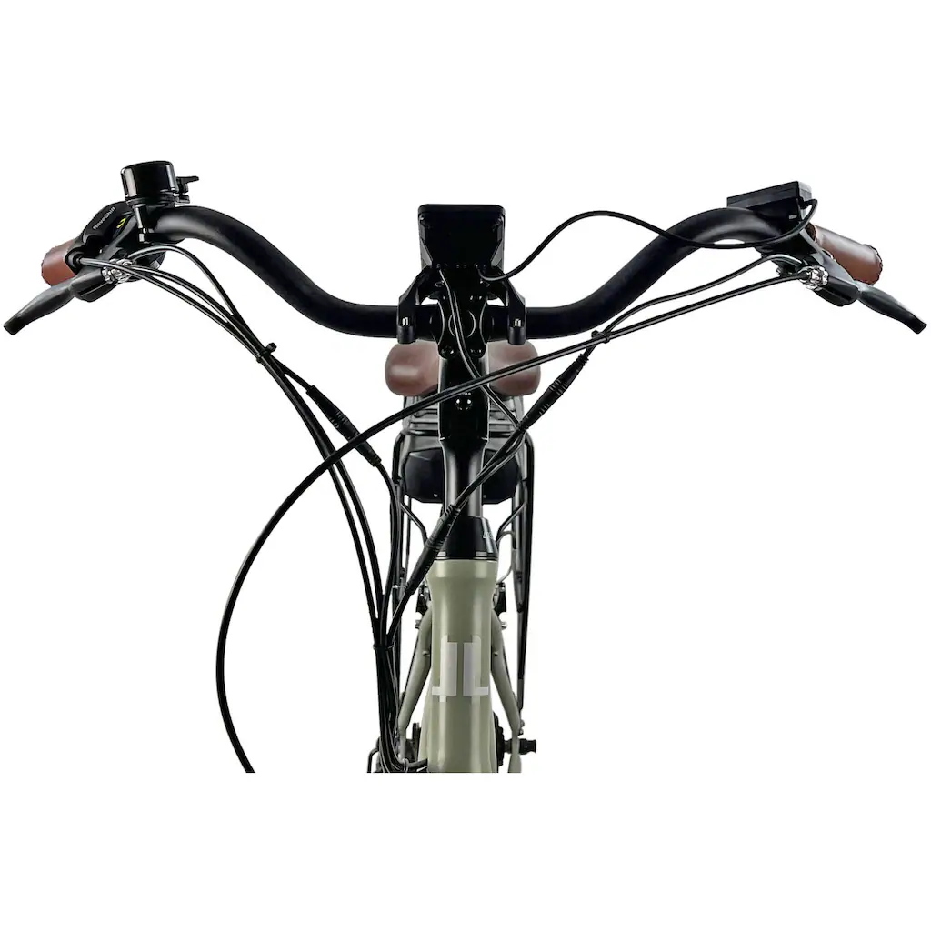 LLobe E-Bike »City E-Bike 28" County grün« Shimano Altus Heckmotor 250 W auf Rechnung Bis zu 50% Rabatt