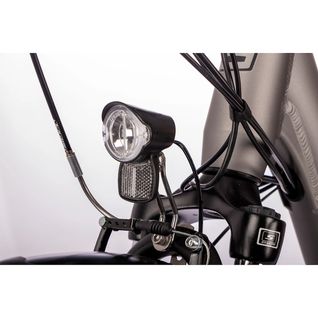 SAXONETTE E-Bike »Advanced Plus« 3 Gang Shimano SHIMANO Nexus Frontmotor 250 W (mit Akku-Ladegerät u. integr. Rahmenschloss) Pedelec Elektrofahrrad für Damen u. Herren Cityrad Sonderangebot der Fabrik