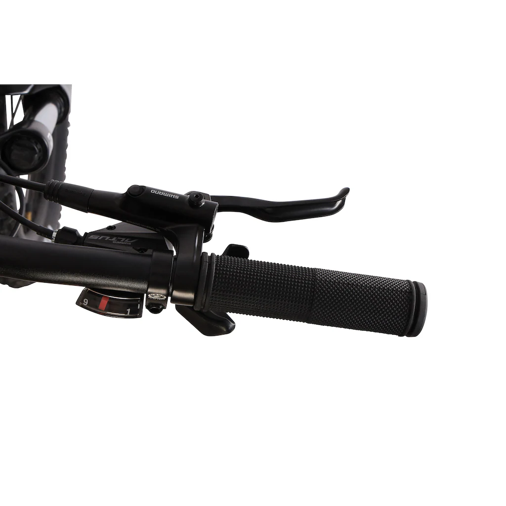 Maxtron E-Bike »MT 15X« 9 Gang Shimano Alivio Mittelmotor 250 W Pedelec Elektrofahrrad für Damen u. Herren MTB Mountainbike Begrenzt auf 3 Tage
