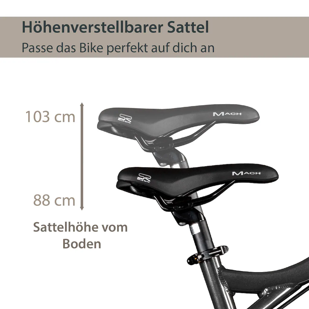 AGON E-Bike »Alpha« 24 Gang Heckmotor 250 W Pedelec Elektrofahrrad für Damen u. Herren MTB auf Rechnung online bestellen Angebote