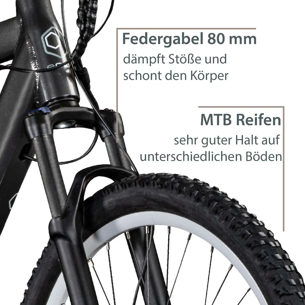 AGON E-Bike »Alpha« 24 Gang Heckmotor 250 W Pedelec Elektrofahrrad für Damen u. Herren MTB auf Rechnung online bestellen Angebote