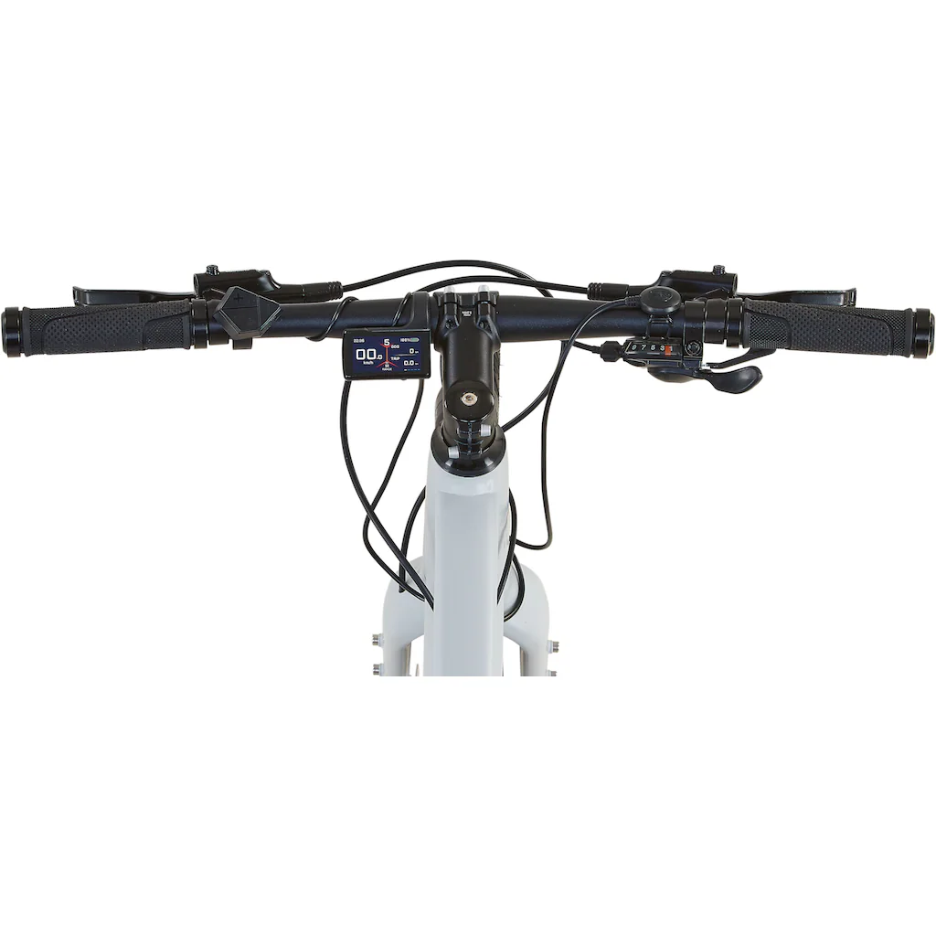 Prophete E-Bike »Urbanicer 2.9« 9 Gang Shimano Alivio Heckmotor 250 W Pedelec Elektrofahrrad für Herren Urbanbike Fabrik Onlineshop