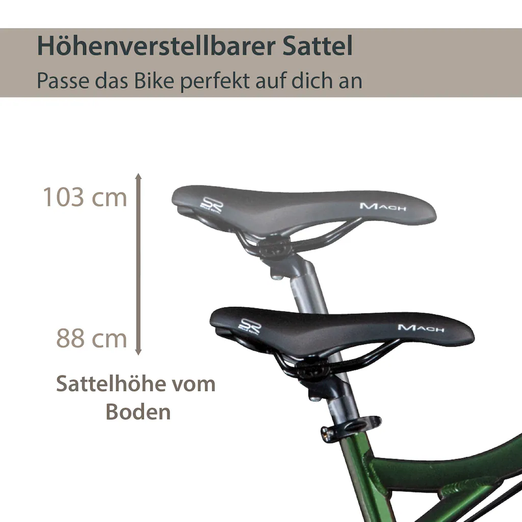 AGON E-Bike »Alpha« 24 Gang Heckmotor 250 W Pedelec Elektrofahrrad für Damen u. Herren MTB Mountainbike auf Rechnung Black Friday