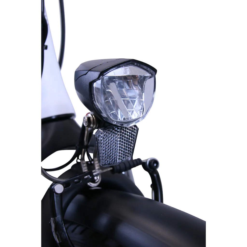 HAWK Bikes E-Bike »eCity Wave« 7 Gang Shimano Nexus 7-Gang Frontmotor 250 W Pedelec Elektrofahrrad für Damen u. Herren Cityrad auf Rechnung online kaufen Valentinstagsangebot