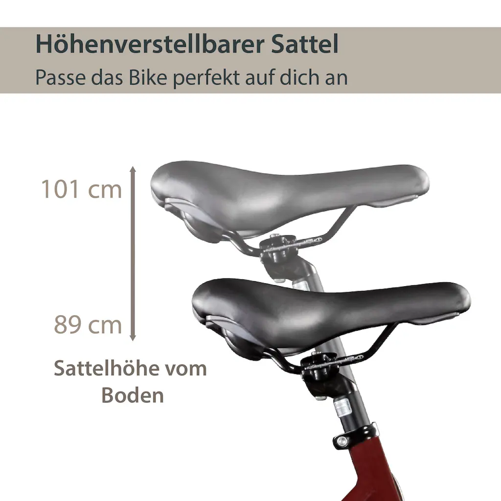 AGON E-Bike »Avesa« 21 Gang Heckmotor 250 W Pedelec Elektrofahrrad für Damen u. Herren Trekkingrad auf Rechnung Zeitlich begrenztes Angebot
