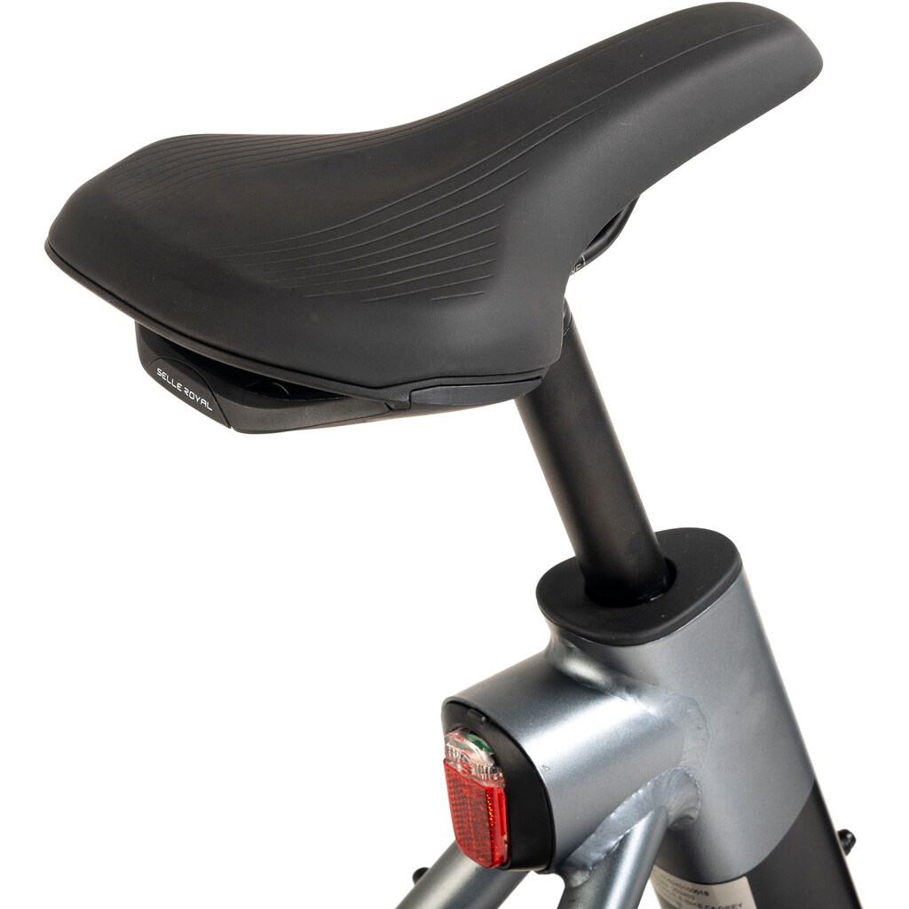 VOGUE BIKE E-Bike »C4« 7 Gang Shimano Tourney Heckmotor 250 W Pedelec Elektrofahrrad für Damen u. Herren Cityrad auf Rechnung Kauf eins, bekomm eins gratis
