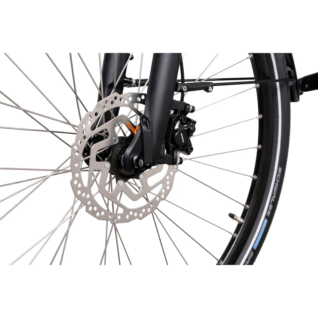 HAWK Bikes E-Bike »eCity Wave 400« 8 Gang Shimano Pedelec Elektrofahrrad für Damen u. Herren Cityrad auf Rechnung online kaufen Fabrikverkauf