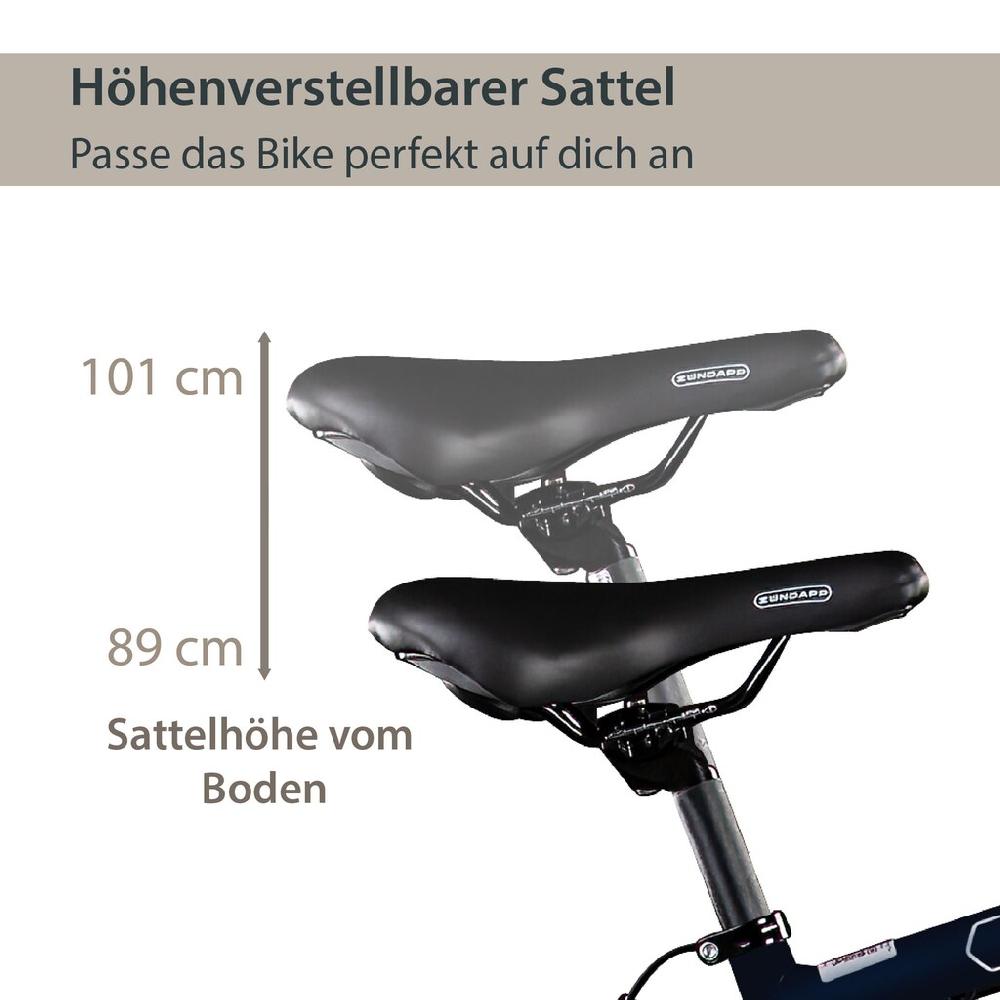 AGON E-Bike »Avesa« 21 Gang Heckmotor 250 W Pedelec Elektrofahrrad für Damen u. Herren Trekkingrad Exklusive Angebote