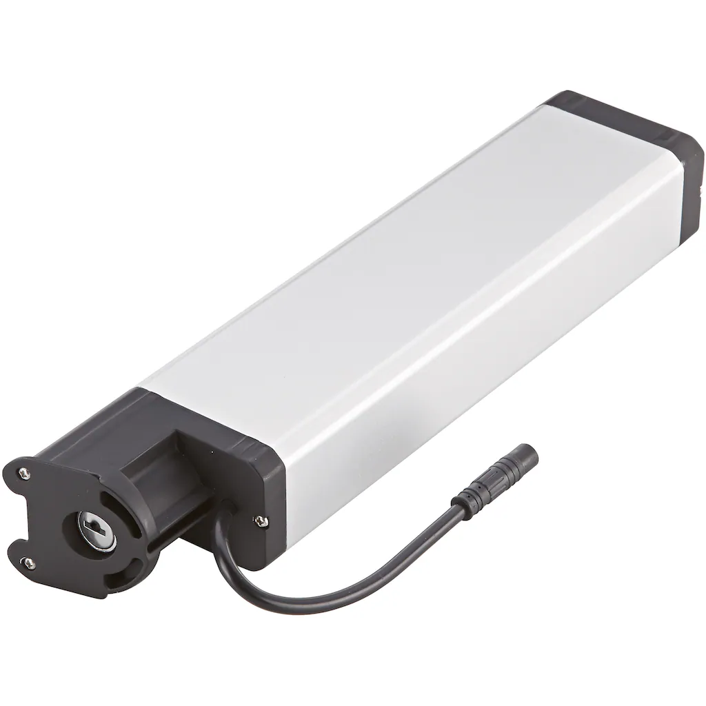 Prophete E-Bike Akku Tägliche Deals