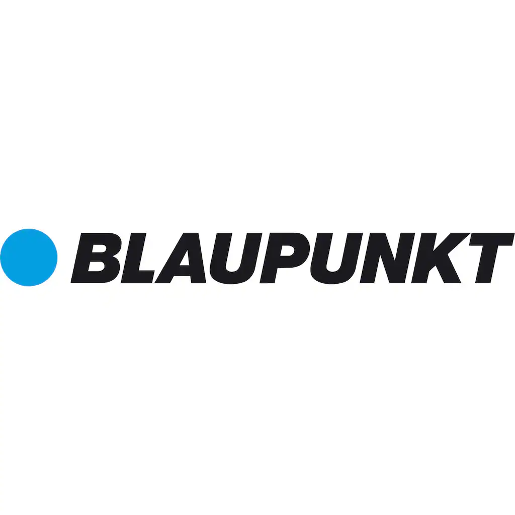Blaupunkt E-Bike Akku »Blaupunkt Gepäckträger Akku 36 Volt« 36 V auf Raten Zeitbegrenzte Promotion