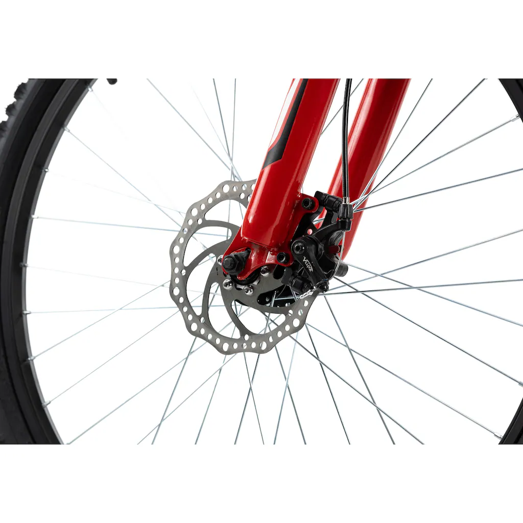 KS Cycling Mountainbike »Xtinct« 21 Gang Shimano Tourney Schaltwerk Kettenschaltung für Herren Kettenschaltung auf Rechnung bestellen Blitzangebot