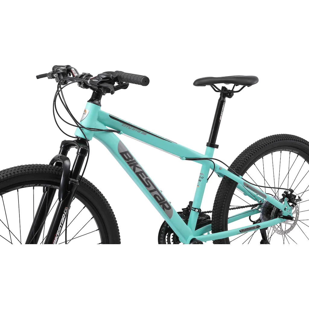 Bikestar Mountainbike 21 Gang Shimano RD-TY300 Schaltwerk Kettenschaltung für Damen und Herren Kettenschaltung auf Rechnung bestellen Begrenzt auf 3 Tage