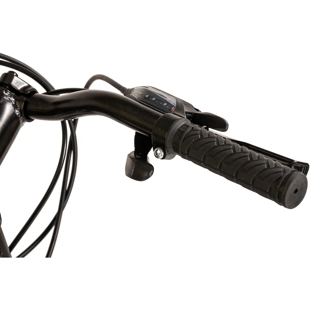 WYLD Mountainbike »Heist« 24 Gang Kettenschaltung im Angebot
