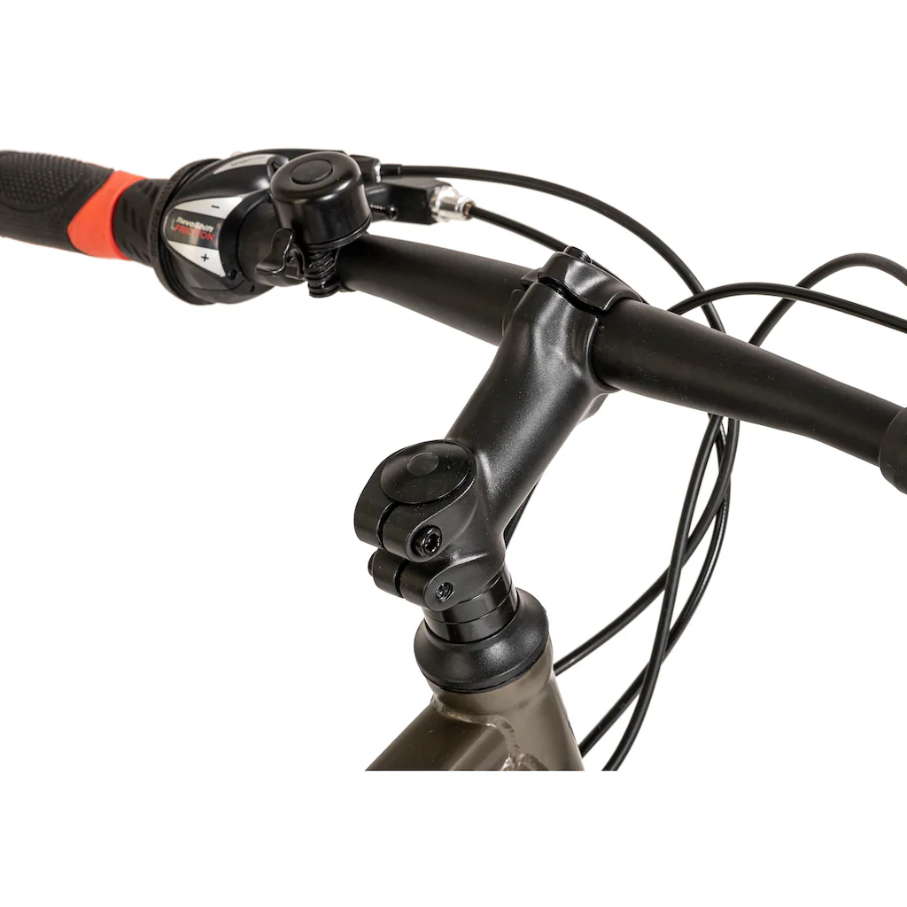 WYLD Mountainbike »Sharp« 21 Gang Kettenschaltung Schlussverkauf