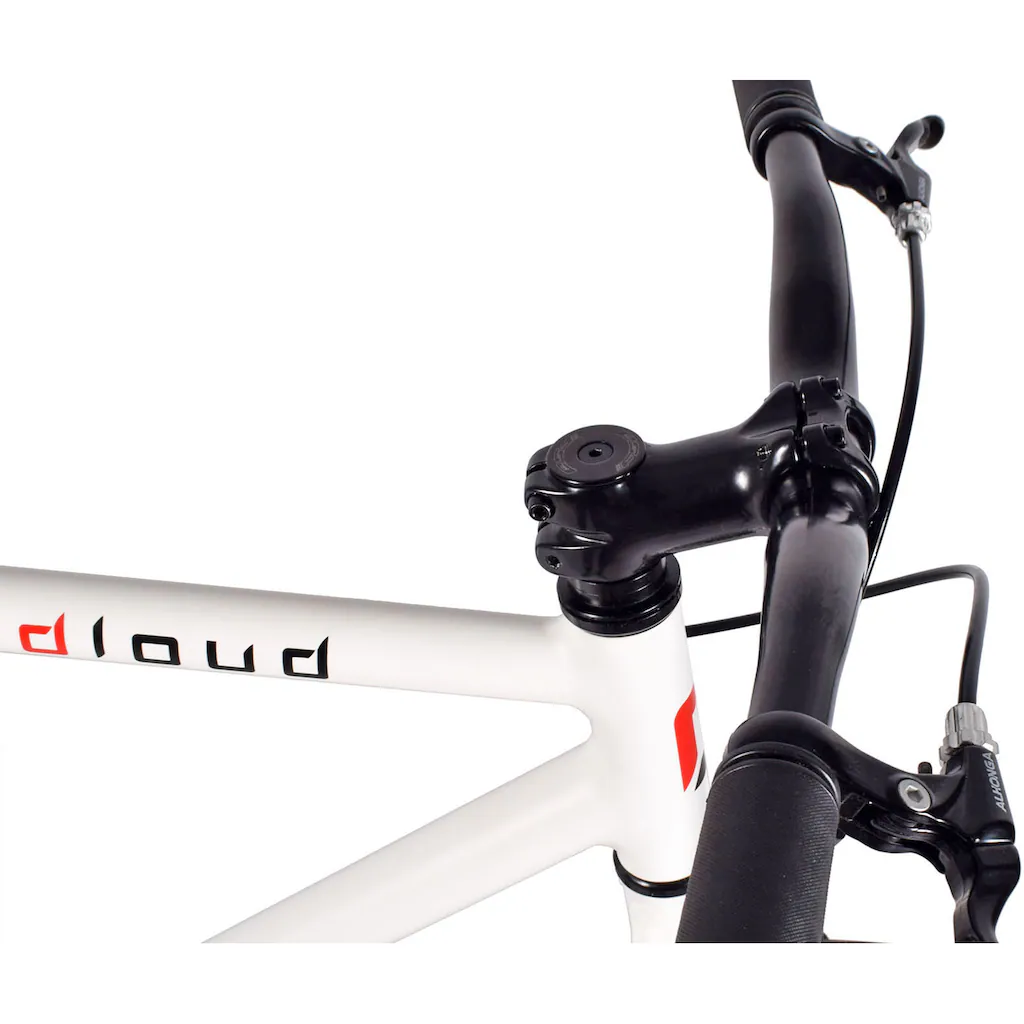REDLOUD Singlespeed »FA.01 (Fixie)« 1 Gang auf Rechnung kaufen Cyber Monday