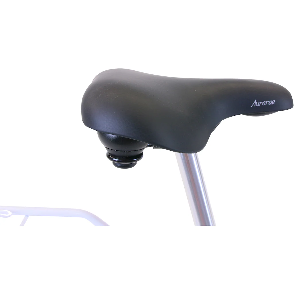 HAWK Bikes Cityrad »City Classic Joy White« 3 Gang Shimano Nexus Schaltwerk für Damen und Herren auf Raten Online Shopping