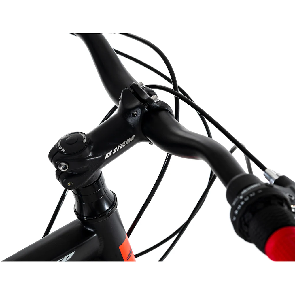 KS Cycling Mountainbike »Catappa« 21 Gang Shimano Tourney Schaltwerk Kettenschaltung für Damen und Herren Kettenschaltung Zeitlich begrenztes Angebot