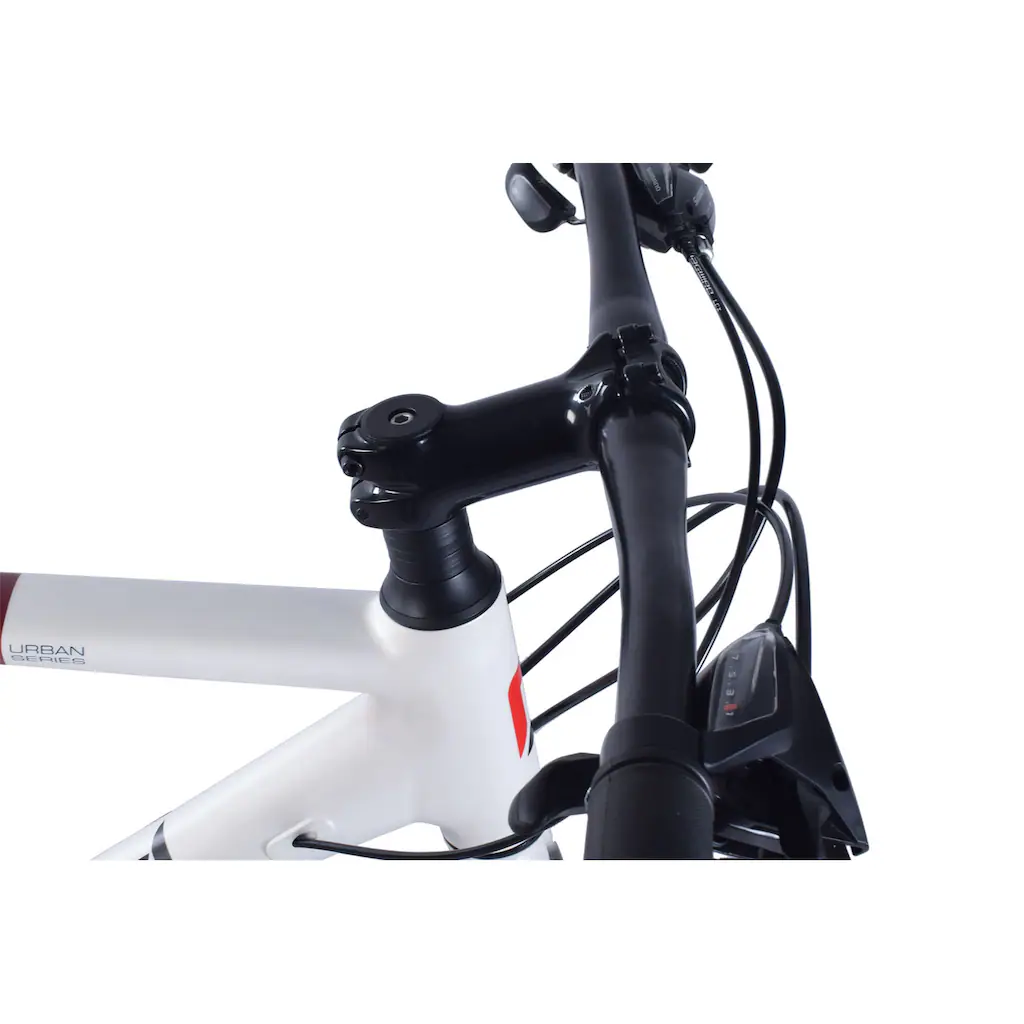 REDLOUD Cityrad »UA.01« 21 Gang Shimano Shimano Altus Schaltwerk Kettenschaltung Kostenloser Versand international