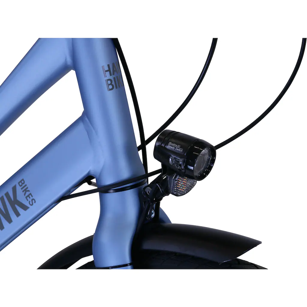 HAWK Bikes Trekkingrad »Trekking Lady Super Deluxe Plus Sky Blue« 8 Gang Shimano Nexus Schaltwerk für Damen und Herren auf Raten Sonderangebot