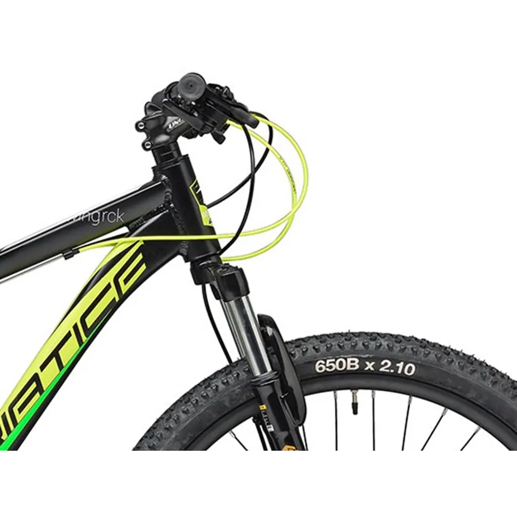 Adriatica Mountainbike »RC-K« 21 Gang Shimano TY500 Schaltwerk Kettenschaltung für Herren Kettenschaltung auf Rechnung Vatertagsangebot
