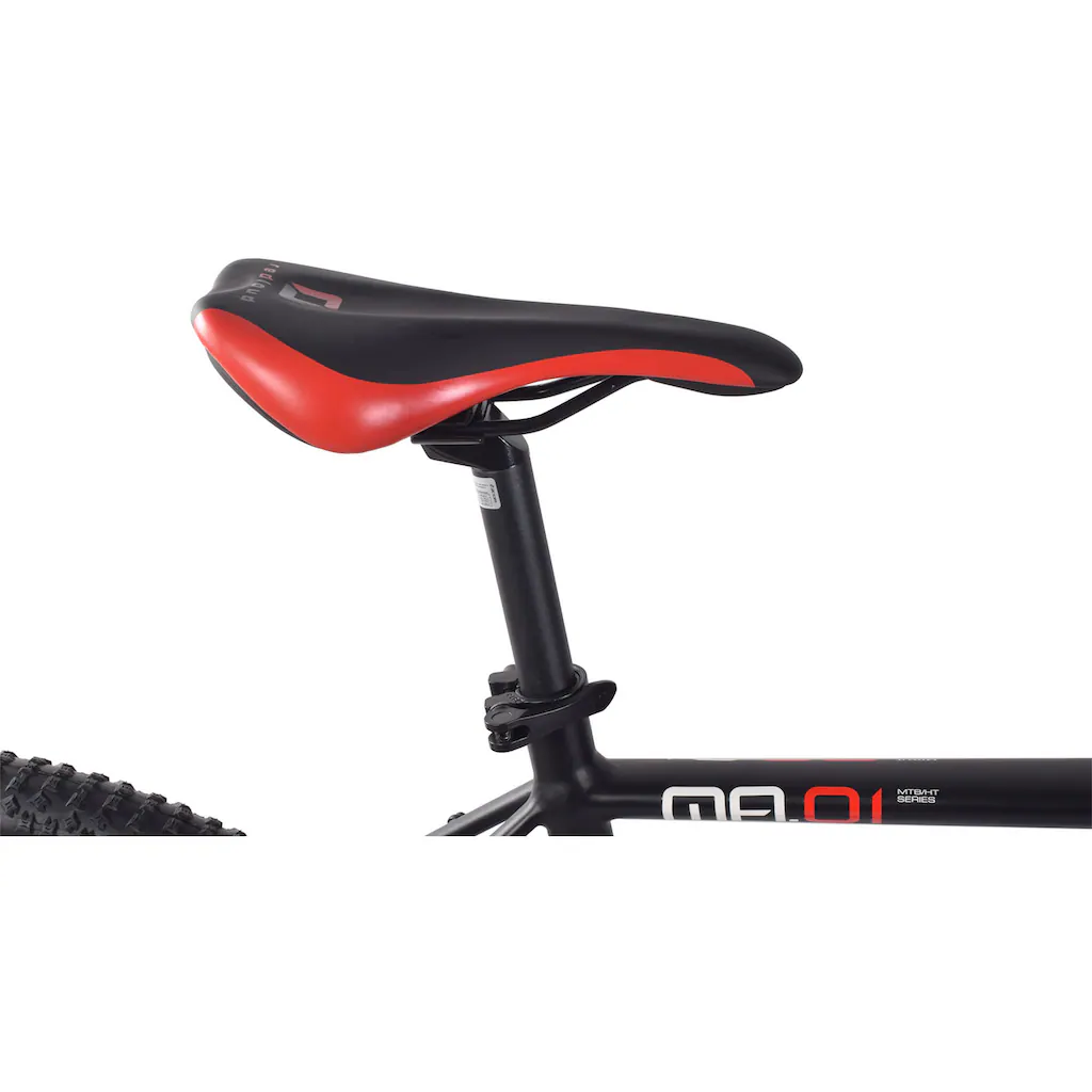 REDLOUD Mountainbike »MA.01« 21 Gang Shimano Shimano Tourney Schaltwerk Kettenschaltung auf Rechnung online kaufen Super Sparpreis