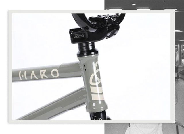 Haro Bikes Haro Bikes "Dennis Enarson SD" AM &vert; fahrrad.de Im Verkauf