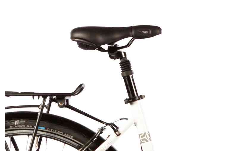 Carver Cityzen 110 - 28 Zoll - Tiefeinsteiger - 2024 im Angebot
