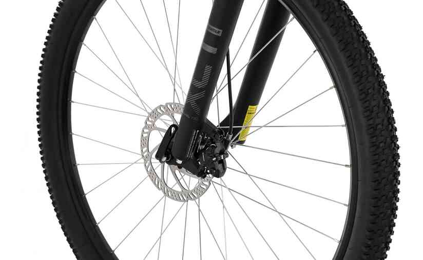 Carver Strict 110 - 29 Zoll - Diamant - 2024 Sonderangebot